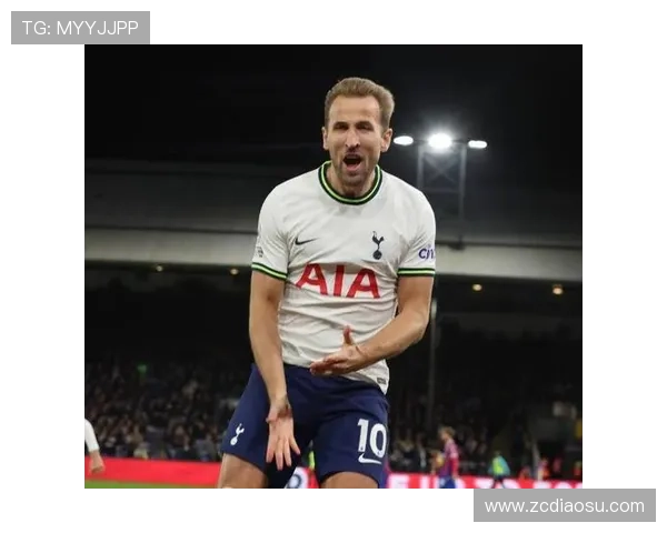 凯恩欧冠首度禁区外破门助热刺制胜 凯恩欧冠首度禁区外破门助热刺制胜